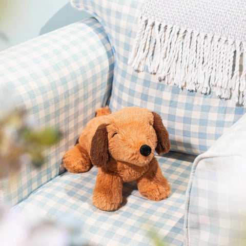 🐶 Peluche Perro Salchicha