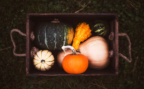 SABOR DEL MES OTOÑO