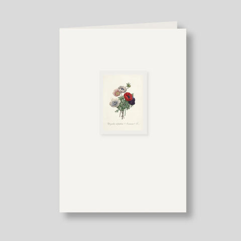 Tarjetón Doble Extragrande Escribana | Tarjeta para Regalar y Enmarcar